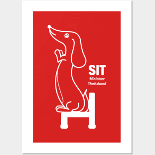 Miniature Dachshund SIT -White- Posters and Art